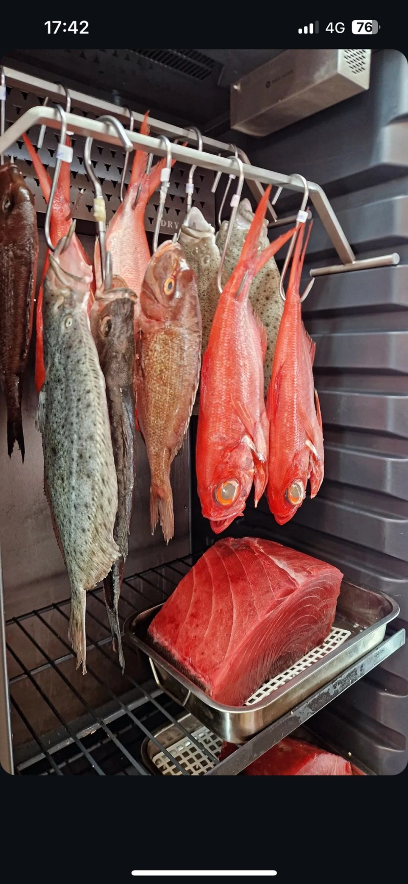 Fotografía de un plato con pescado a la brasa Fotografía de un plato con pescado a la brasa